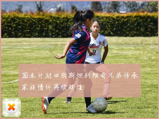 国米计划回购斯坦科维奇兄弟传承家族情怀再续辉煌