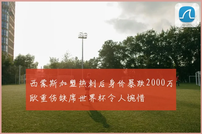 西蒙斯加盟热刺后身价暴跌2000万欧重伤缺席世界杯令人惋惜